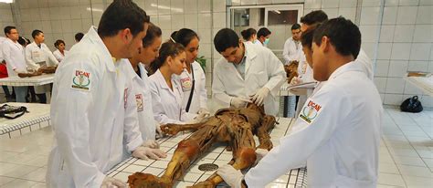 Carrera de Medicina & Cirugía – Universidad Cristiana ...
