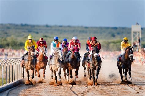 Carreras de caballos   Fiestas Mayores: fotografía de La ...