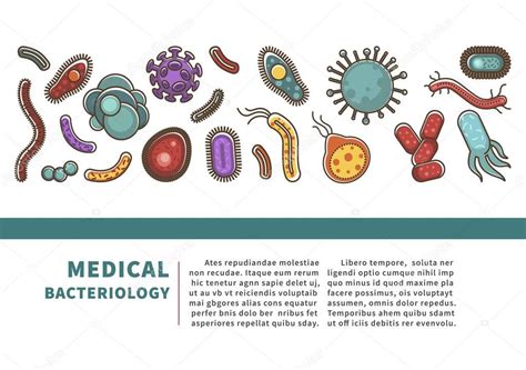 Cartel Información Virus Bacterias Para Ciencia Médica Sanitaria ...