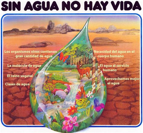 Cartel sobre la contaminacion del agua   Imagui