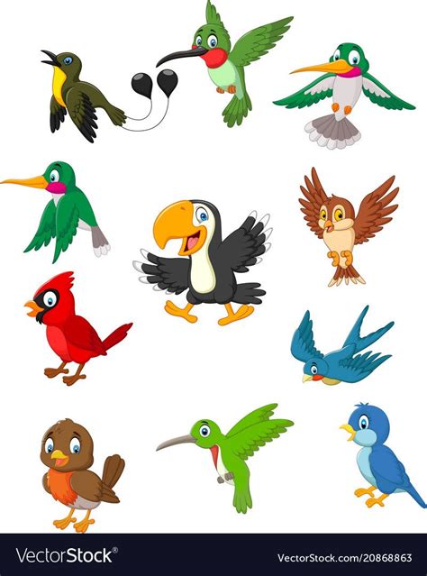 Cartoon birds collection set vector image on | Animales que vuelan ...