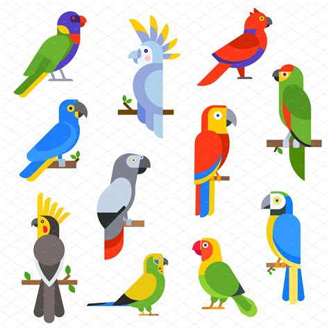 Cartoon parrots set vector | Parrot painting, Parrots art ...