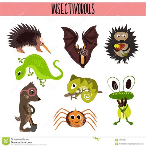 Cartoon Set Of Cute Animals Insectivores Living In ...