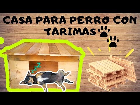 CASA PARA PERRO CON TARIMAS/PALLETS/MADERA RECICLADA ECONÓMICA | CARLOS LOVERA