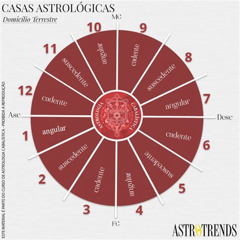 Casas Astrológicas – a roda das experiências   Grupo Meio do Céu