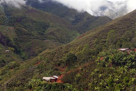 Casas de la vereda de El Chirriadero, municipio de Morales en el ...