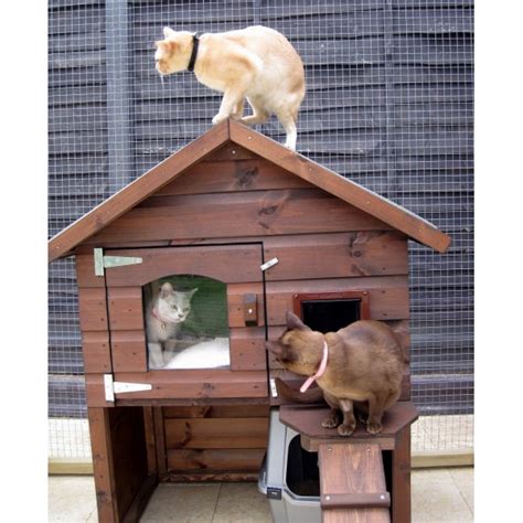 Casas para gatos en exterior   Accesorios para gatos ...