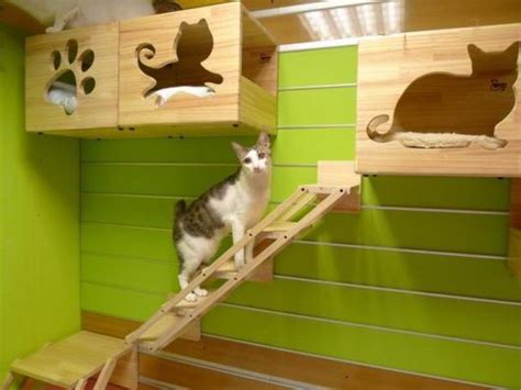 Casas para Gatos: Ideias, DIY e 50 modelos lindos para seu ...