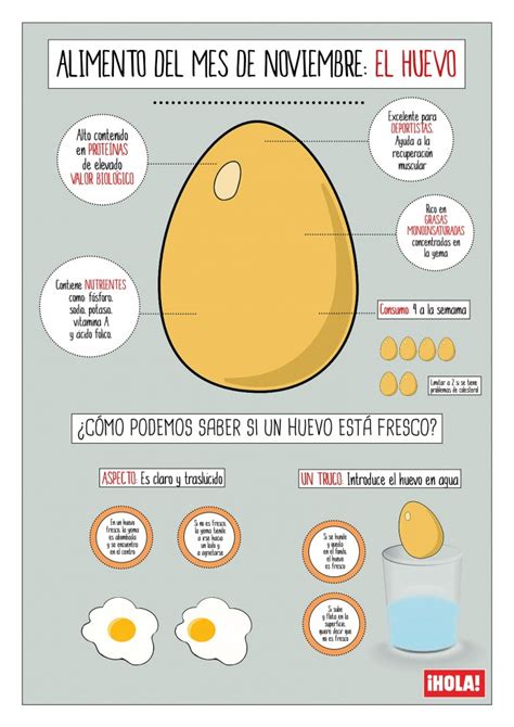 Cáscaras de huevo y sus efectos beneficiosos  Recetas ...
