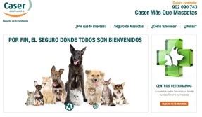 Caser lanza un nuevo seguro para mascotas   Seguros TV BlogSeguros TV Blog