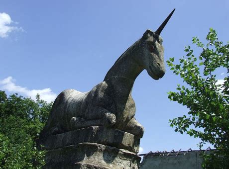 Castelul cu inorogi ajuns groapa de gunoi   Jurnalul Prahovean