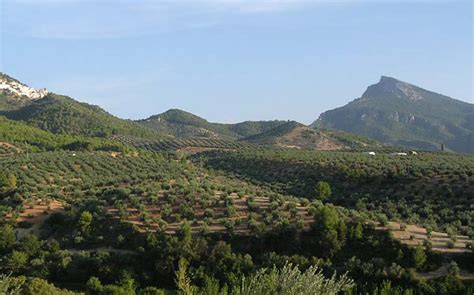 Castilla La Mancha, segunda región en agricultura ...