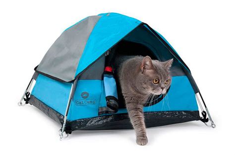 Cat Camp, la tienda de campaña para gatos   No Puedo Creer