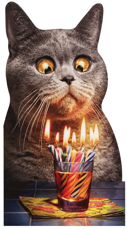 Cat Flaming Shot   Oversized Funny Birthday Card ...