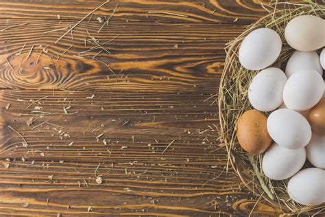 Categorias de huevos: aprende a reconocer cada tipo de huevo   TRAZA