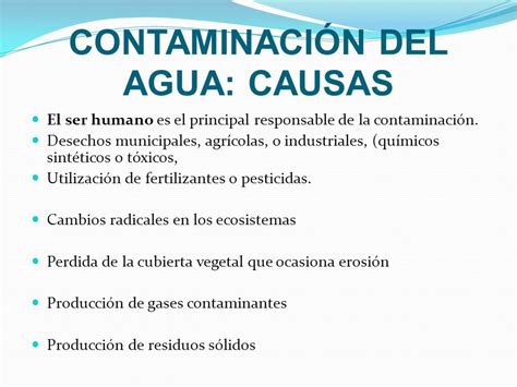 Causas De Contaminacion Del Agua   SEONegativo.com