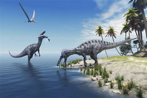 Causas de la extinción de los dinosaurios   VIX
