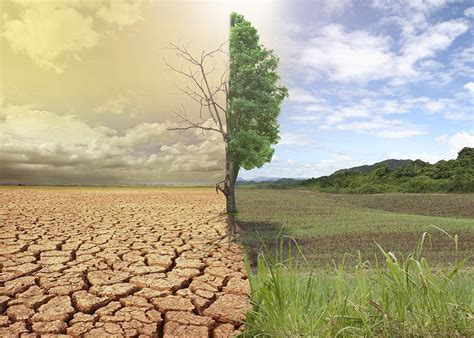 Causas y efectos del cambio climático global   Grupo IOE