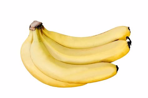 Cavendish banana   Wikipedia