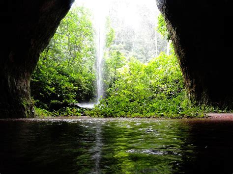 Caverna do Maroaga Environmental Protection Area   Wikipedia