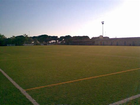 CD Betis Club de Fútbol   Wikipedia, la enciclopedia libre