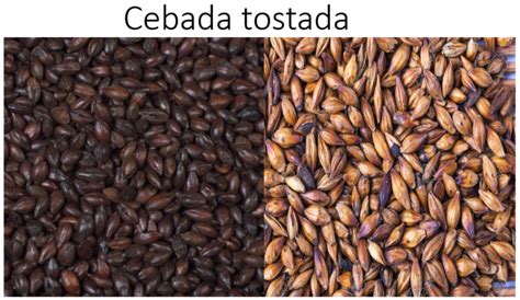 Cebada Tostada ️ Alimentos Peruanos en Santiago de Chile ️ Beto VIP