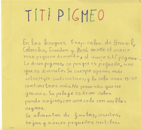 CEIP EL ZARGAL. SECOND GRADE.: TITI PIGMEO. CARMEN.