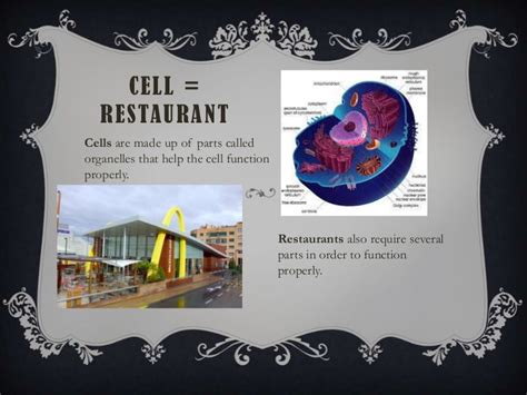 Cell Analogy Example
