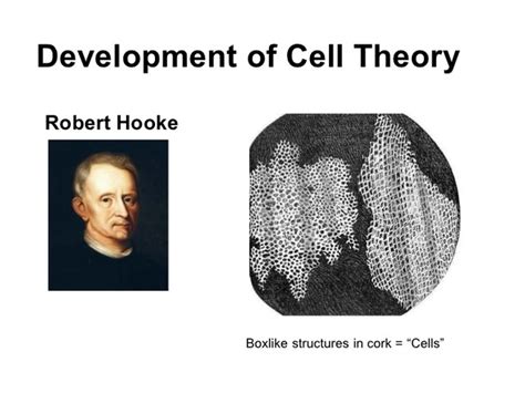 Cell theory timeline | Timetoast timelines