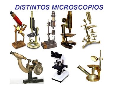 Célula El Microscopio