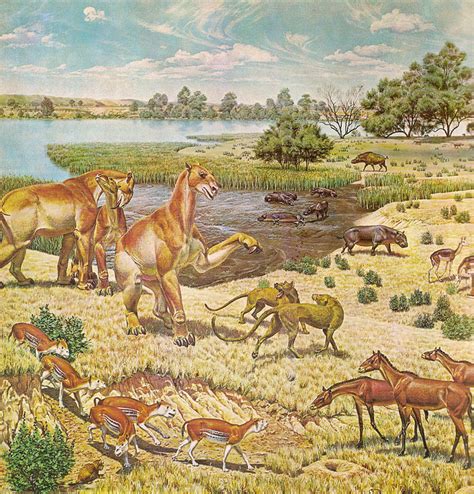 Cenozoic era: Facts about climate, animals & plants | Live ...