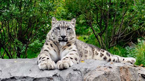 Central Park Zoo: Opiniones, Info, Precios, Ofertas | PACommunity