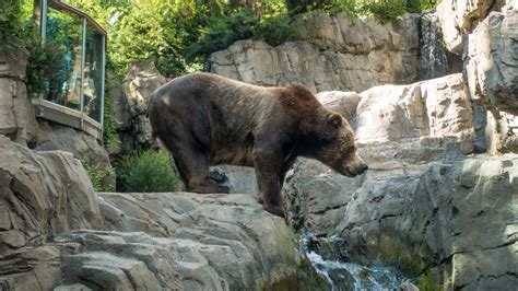 Central Park Zoo: Opiniones, Info, Precios, Ofertas | PACommunity