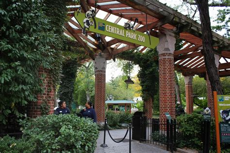 Central Park Zoo – Blog da Laura Peruchi – Tudo sobre Nova York