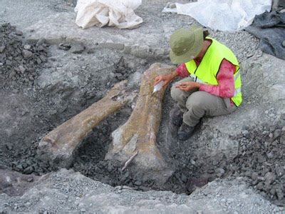 Centro de Investigación Paleontológica en Cuenca ...