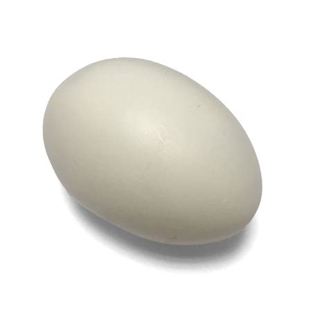 Ceramic Goose Egg at The Incubator Shop