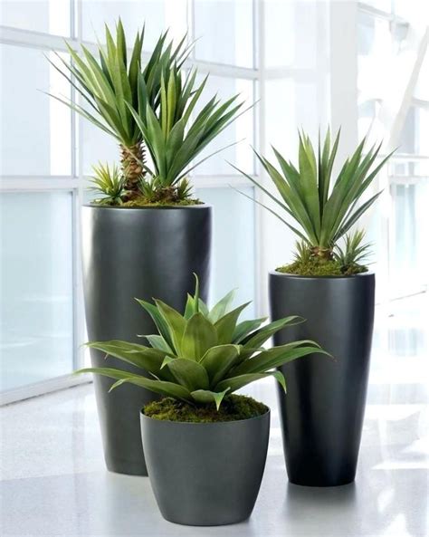 Ceramic Pots For Indoor Plants Online India Pots For Large ...