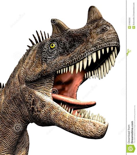 CERATOSAURUS | headshot del primer del dinosaurio de ...