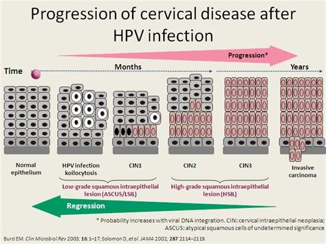 cervical cancer | Drsharifah s blog
