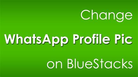 Change WhatsApp Profile Picture on BlueStacks [Easy Way ...