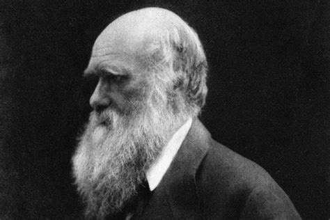 Charles Darwin Facts That Reveal The Man Behind Evolution