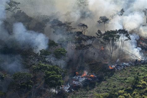 Chega de destruir a Amazônia   Greenpeace Brasil