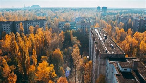 Chernobyl: por qué el desastre nuclear fue un éxito ambiental | Siente ...