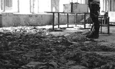Chernobyl Survive, Historia Completa