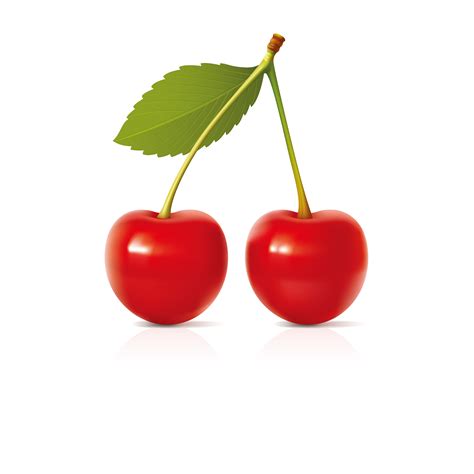 Cherry vector design illustration template   Download Free ...