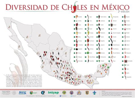Chilaca Pepper | WorldCrops