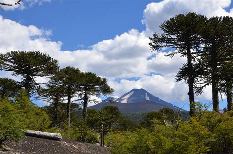 Chile: Parque nacional Conguillio – JooAnfossi