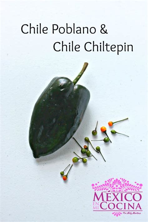 Chiles Frescos Mexicanos, encuentra aquí las variedades y tipos de chiles