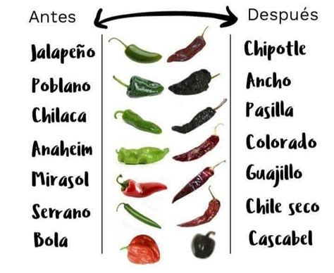Chiles frescos y deshidratados | Stuffed peppers, Mexican food recipes ...