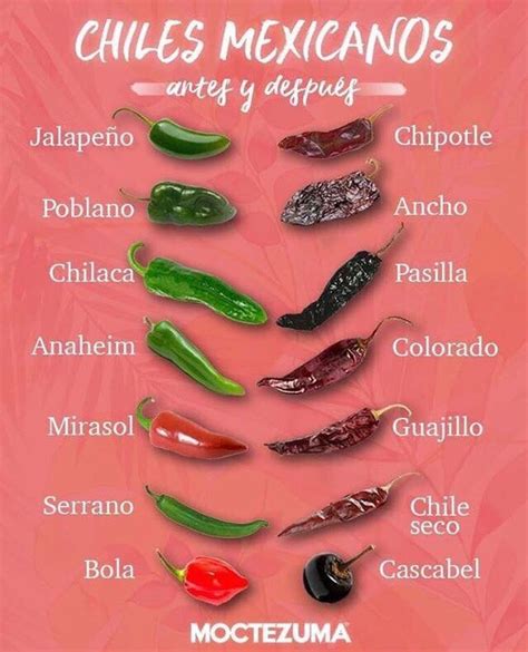 Chiles mexicanos, antes y después  | Chile mexicano, Tipos de chiles ...